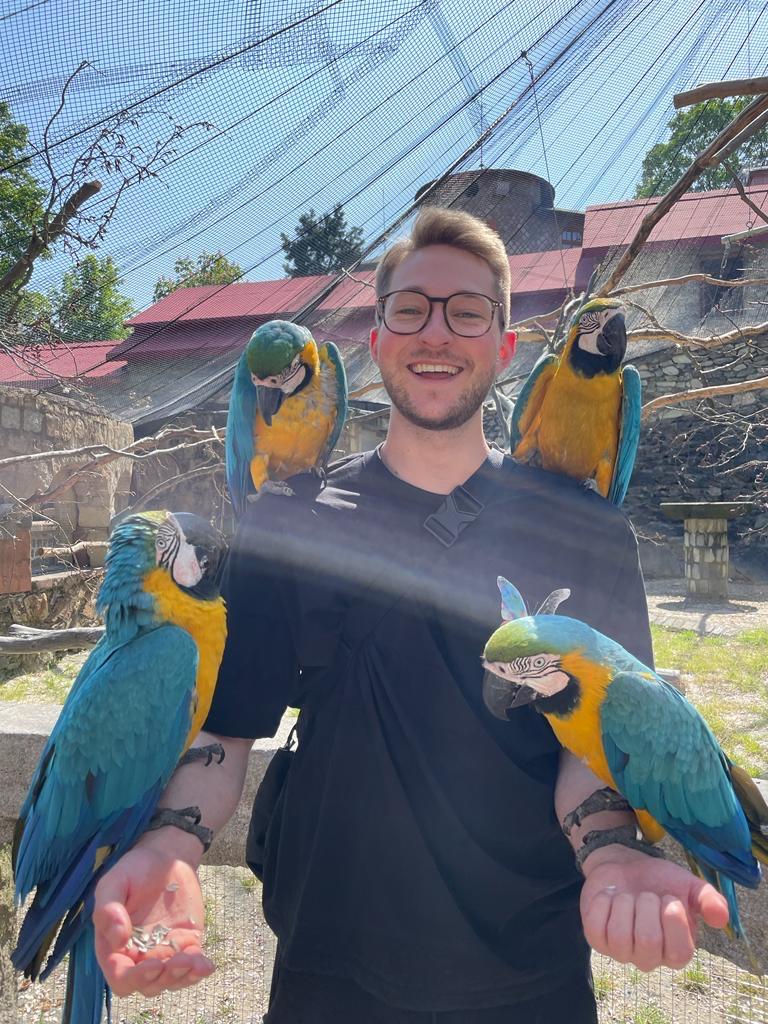 Parrots